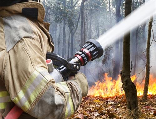 Wildfire Disaster Preparedness