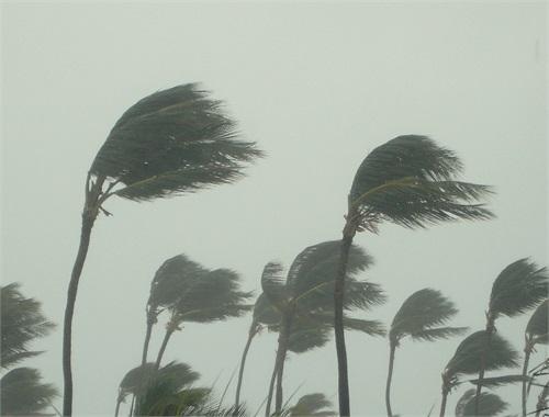 Hurricane Disaster Preparedness